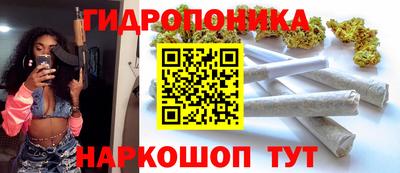 дурь Будённовск