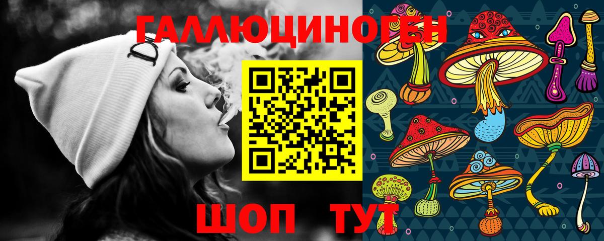 Галлюциногенные грибы GOLDEN TEACHER  Псилоцибиновые грибы мицелий  Вход с VPN  хочу   Тамбов 